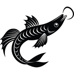 dragonfish vector