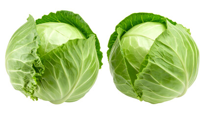 Obraz premium Fresh green cabbages with crisp leaves. Isolated transparent background