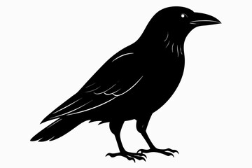 Fototapeta premium crow sihouette black vector