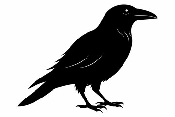 crow sihouette black vector