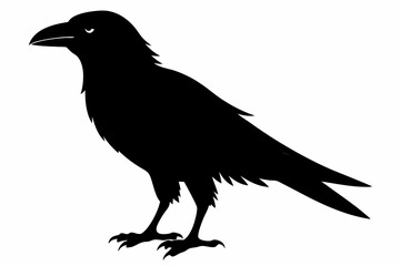 crow sihouette black vector