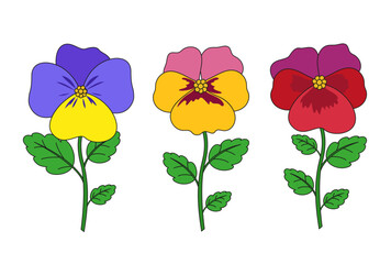 Cartoon colored pansies set with green leaves. Botanic vector illustration. Summer flowers.