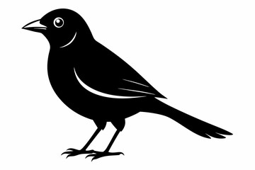 jay bird sihouette black vector