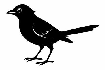 jay bird sihouette black vector