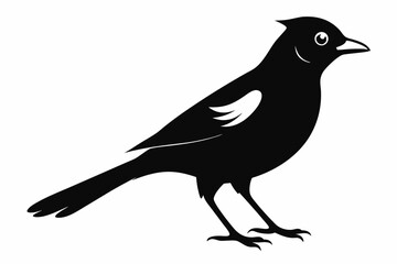 jay bird sihouette black vector