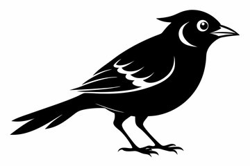 jay bird sihouette black vector