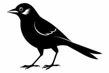 jay bird sihouette black vector