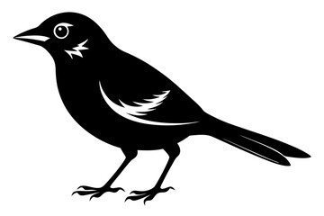jay bird sihouette black vector