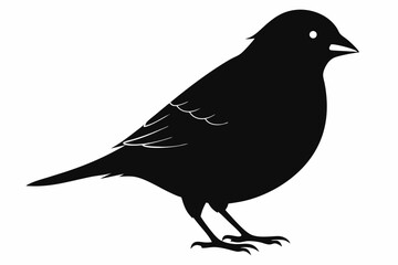 finch sihouette black vector