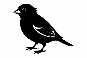 finch sihouette black vector