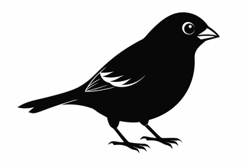 finch sihouette black vector