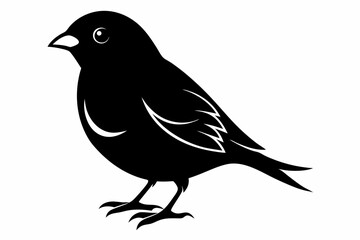 finch sihouette black vector