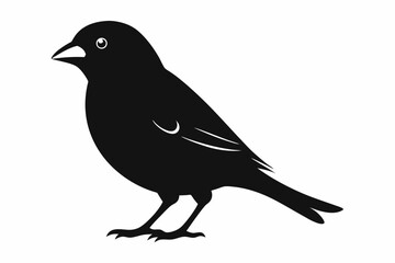 finch sihouette black vector