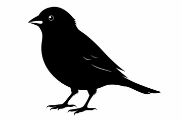 finch sihouette black vector