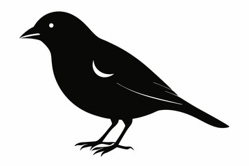 finch sihouette black vector