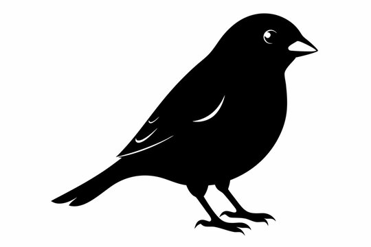 finch sihouette black vector