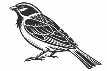 sparrow sihouette black vector