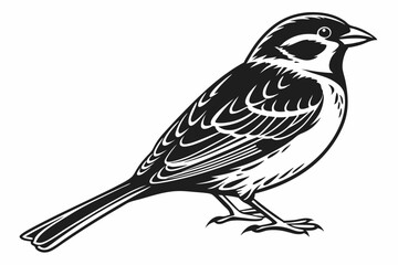 sparrow sihouette black vector