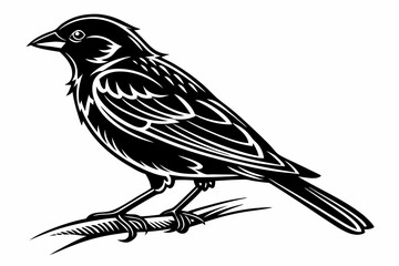 sparrow sihouette black vector