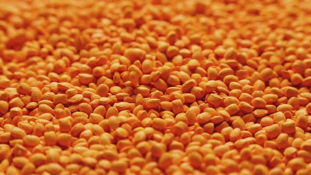 Orange polymer dye in granules, background texture