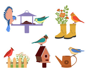 Set of colorful birds and garden tools. Vector illustration.	
