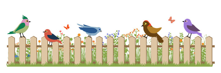 Cartoon colorful birds on a garden fence. Vector illustration.