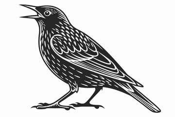 starling silhoette black vector