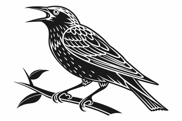 starling silhoette black vector