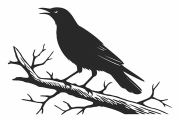 starling silhoette black vector