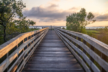 Fototapeta premium hilton head island, south carolina
