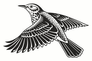 thrush sihouette black vector