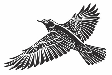 thrush sihouette black vector