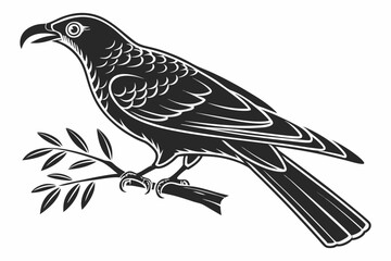 bowerbird sihouette black vector