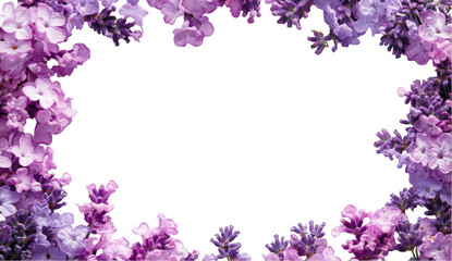 Purple Flower Frame with Black Background