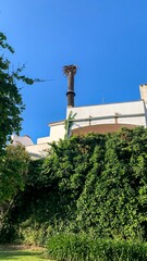 Sunlit villa's ivy dance beneath a singular palm silhouette, evoking Mediterranean nostalgia and...