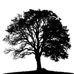 silhouette of a tree