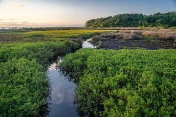 Obraz premium hilton head island, south carolina