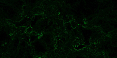 Abstract dark texture with glowing neon green fractal-like wisps and swirling tendrils against a nearly black background. luminous smoke or energy field, forming intricate organic patterns and depth.