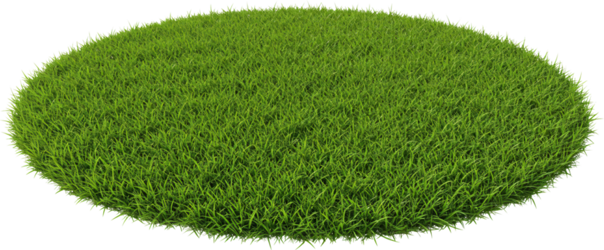 patch of grass with transparent background frame border