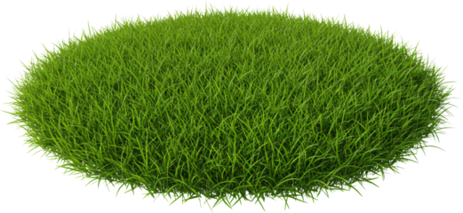 round patch of grass with transparent background