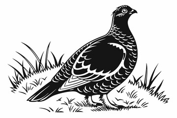 grouse sihouette black vector