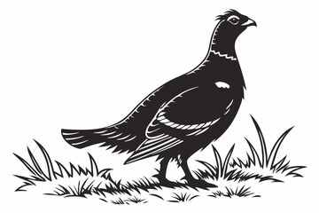 grouse sihouette black vector