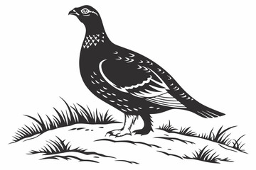 Fototapeta premium grouse sihouette black vector