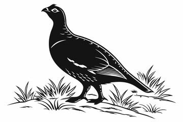 grouse sihouette black vector