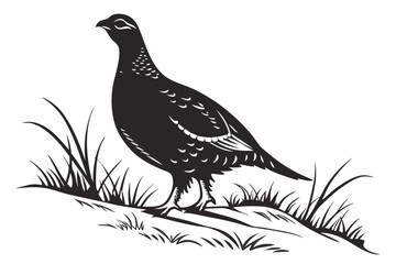 grouse sihouette black vector