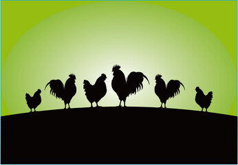 landscape with silhouettes of a rooster and hen vector illustration