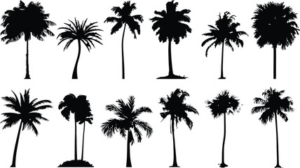 Collection of Black Palm Tree Silhouettes | High-Quality Vector Illustrations Showcasing Tropical and Coastal Landscape Variety