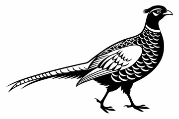 pheasant sihouette black vector