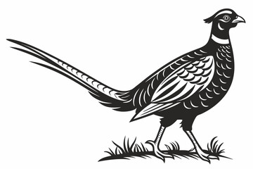 pheasant sihouette black vector
