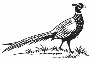 pheasant sihouette black vector